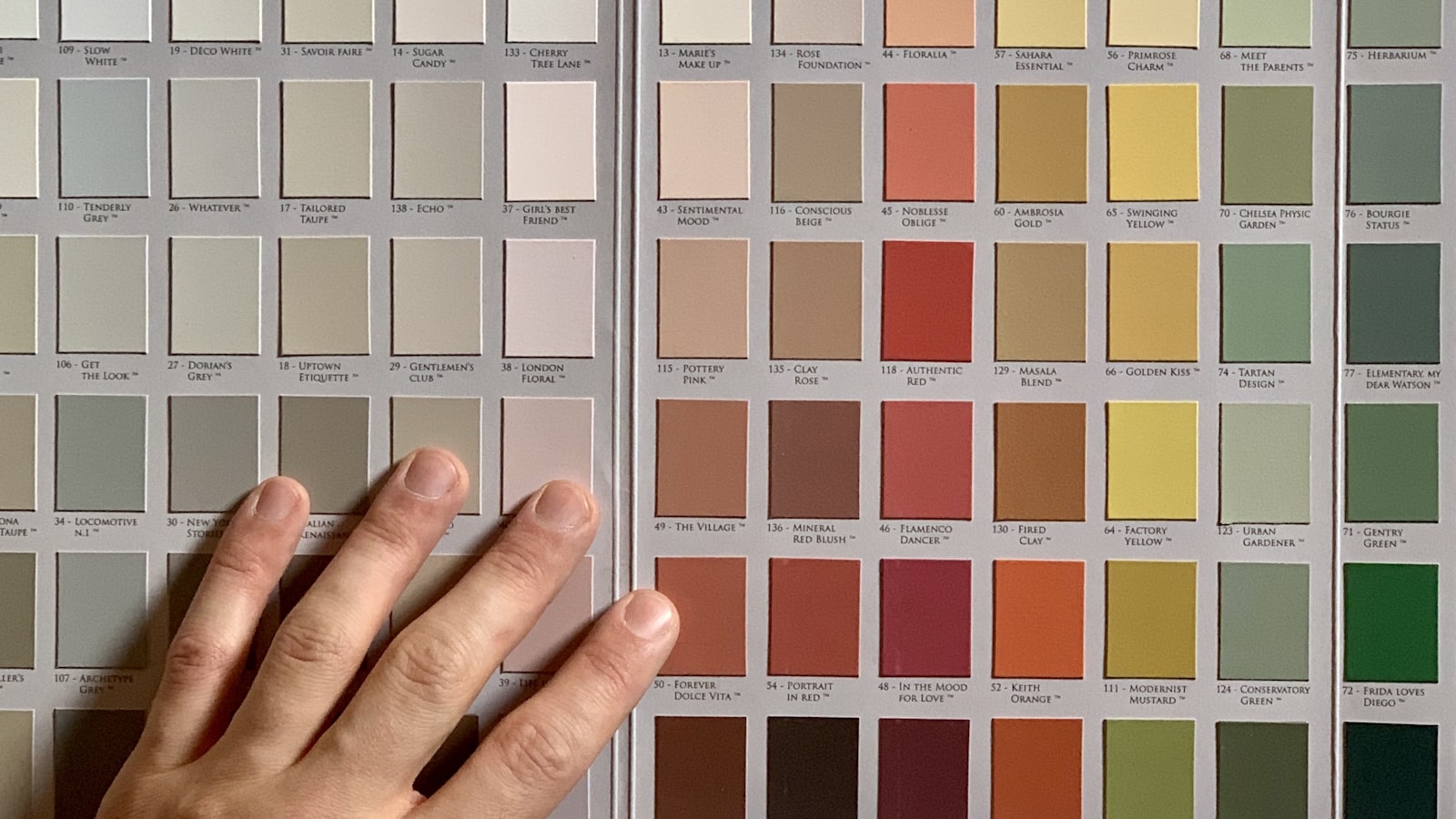 Paletas de color para asesoría de imagen